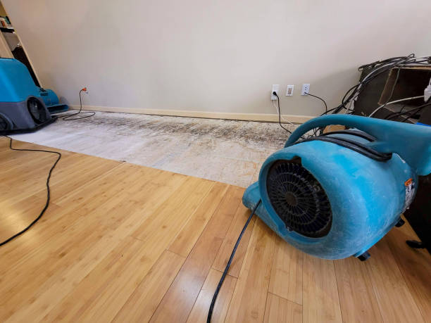 Professional Ceiling Water Damage Repair technician working in Cheney, KS